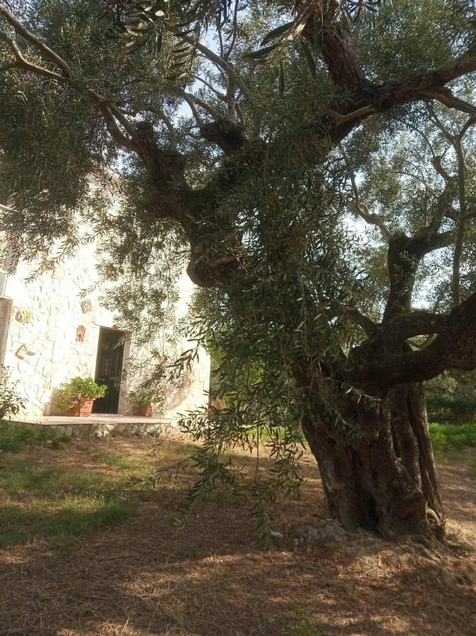 הוילה טרגקי Olive Trees מראה חיצוני תמונה