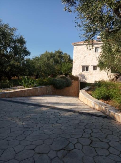 הוילה טרגקי Olive Trees מראה חיצוני תמונה